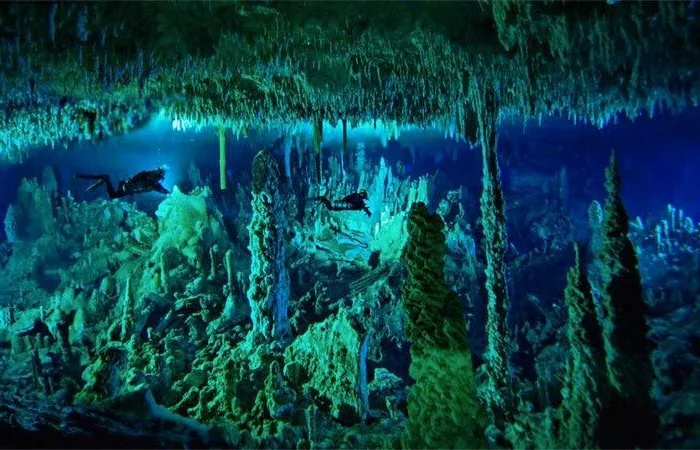 Deep Sea Secrets: Discovering the World's Most Mysterious Underwater Natural Wonders