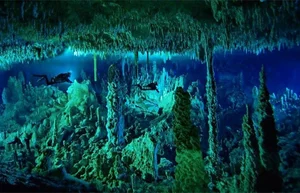 Deep Sea Secrets: Discovering the World's Most Mysterious Underwater Natural Wonders - image 0