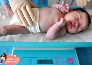 The Ideal Birth Weight for Healthy and Intelligent Babies Explained - image 6