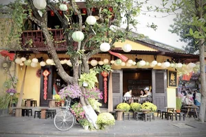 Experiencing the Peaceful Charm of Hoi An Ancient Town During Tet Festival - image 3