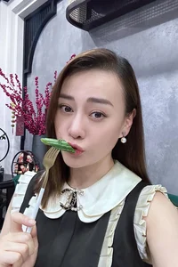 Actress Phuong Oanh Radiates Beauty and Elegance During Her Twin Pregnancy - image 0