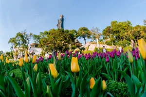 The Spiritual Journey to Ba Den Mountain: A Massive New Year Pilgrimage in Vietnam’s Tay Ninh Province - image 10