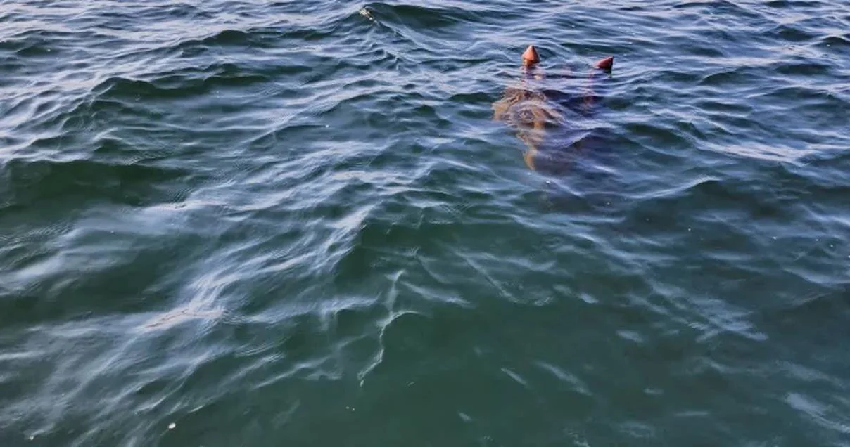 The Century-Old Mystery of Ogopogo: Canada's Legendary Lake Monster
