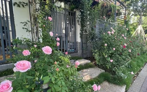 Inside Van Hugo’s Luxury Villa: A Stunning Koi Pond Oasis and Modern Garden Design - image 1