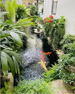 Inside Van Hugo’s Luxury Villa: A Stunning Koi Pond Oasis and Modern Garden Design - image 4