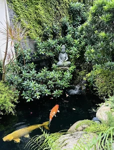 Inside Van Hugo’s Luxury Villa: A Stunning Koi Pond Oasis and Modern Garden Design - image 2