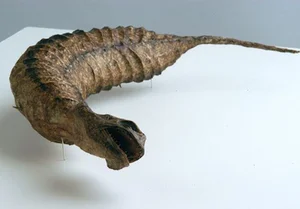 Tsuchinoko là gì? Giải mã sinh vật huyền bí gây sốt tại Nhật Bản - image 0