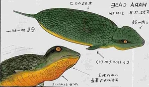 Tsuchinoko là gì? Giải mã sinh vật huyền bí gây sốt tại Nhật Bản - image 7