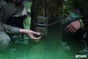 Inside the Secret World of Cat Tien National Park's Wildlife Camera Trap Team - image 8