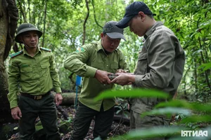 Inside the Secret World of Cat Tien National Park's Wildlife Camera Trap Team - image 0