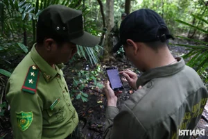 Inside the Secret World of Cat Tien National Park's Wildlife Camera Trap Team - image 13