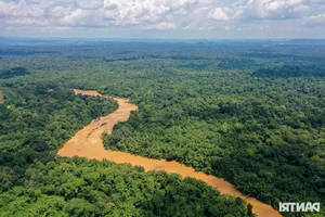 Inside the Secret World of Cat Tien National Park's Wildlife Camera Trap Team - image 5