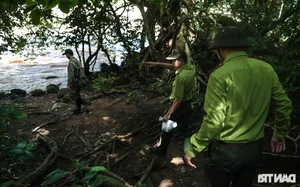 Inside the Secret World of Cat Tien National Park's Wildlife Camera Trap Team - image 12