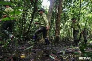 Inside the Secret World of Cat Tien National Park's Wildlife Camera Trap Team - image 7