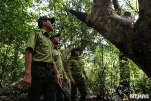 Inside the Secret World of Cat Tien National Park's Wildlife Camera Trap Team - image 10