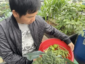 Singer Trong Tan's Unique 'Countryside' Oasis Amidst the City - image 7
