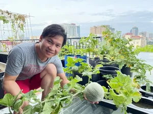 Singer Trong Tan's Unique 'Countryside' Oasis Amidst the City - image 9