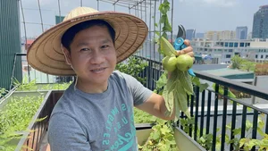 Singer Trong Tan's Unique 'Countryside' Oasis Amidst the City - image 11
