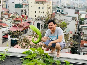 Singer Trong Tan's Unique 'Countryside' Oasis Amidst the City - image 13