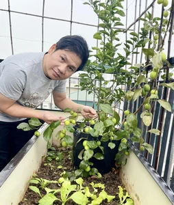 Singer Trong Tan's Unique 'Countryside' Oasis Amidst the City - image 4