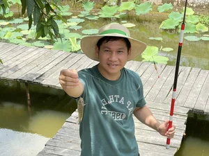 Singer Trong Tan's Unique 'Countryside' Oasis Amidst the City - image 2