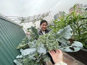 Singer Trong Tan's Unique 'Countryside' Oasis Amidst the City - image 6