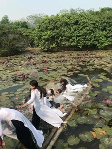 The Hilarious Mishaps of Tet Ao Dai Photoshoots in Vietnam - image 6
