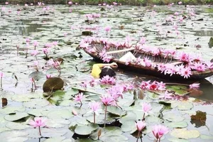 The Hilarious Mishaps of Tet Ao Dai Photoshoots in Vietnam - image 9