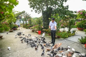 Discover the Unique Bird Sanctuaries in An Giang's Seven Mountains Region - image 1