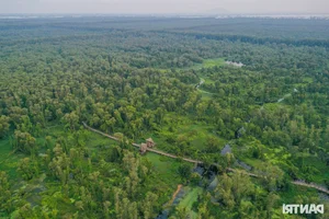 Discover the Unique Bird Sanctuaries in An Giang's Seven Mountains Region - image 5