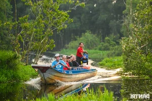 Discover the Unique Bird Sanctuaries in An Giang's Seven Mountains Region - image 9
