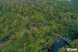 Discover the Unique Bird Sanctuaries in An Giang's Seven Mountains Region - image 4