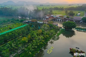 Discover the Unique Bird Sanctuaries in An Giang's Seven Mountains Region - image 11