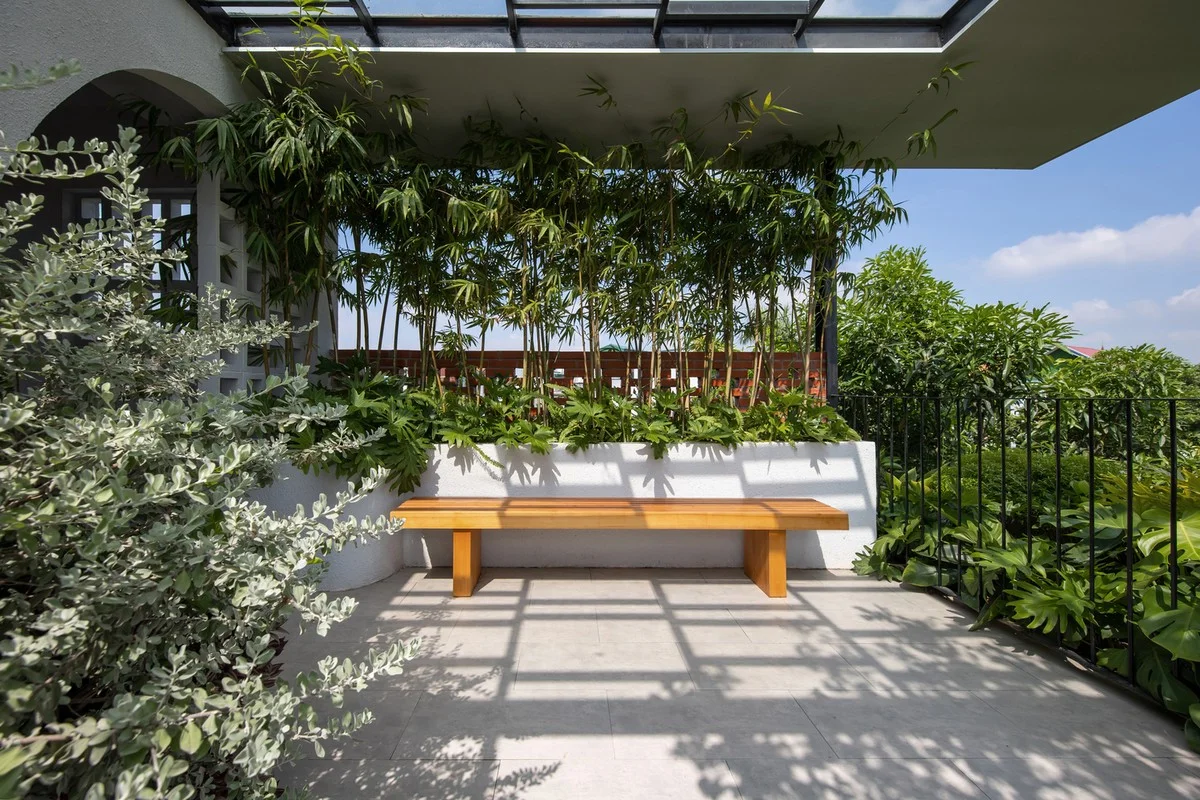 Inside Hanoi's Stunning Nature-Infused Townhouse: A Green Oasis in the City