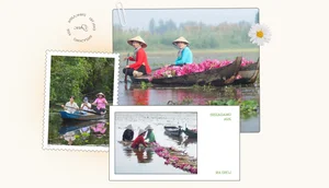 Eco-Tourism in Long An: Exploring Floating Villages and Medicinal Forests in the Endless Field - image 1