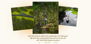 Eco-Tourism in Long An: Exploring Floating Villages and Medicinal Forests in the Endless Field - image 7