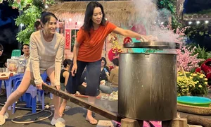 How Vietnamese Celebrities Celebrate the Lunar New Year with Family Traditions - image 1