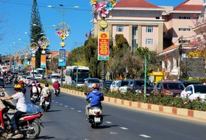 Massive Tourist Exodus from Da Lat After Successful Lunar New Year Holiday - image 9
