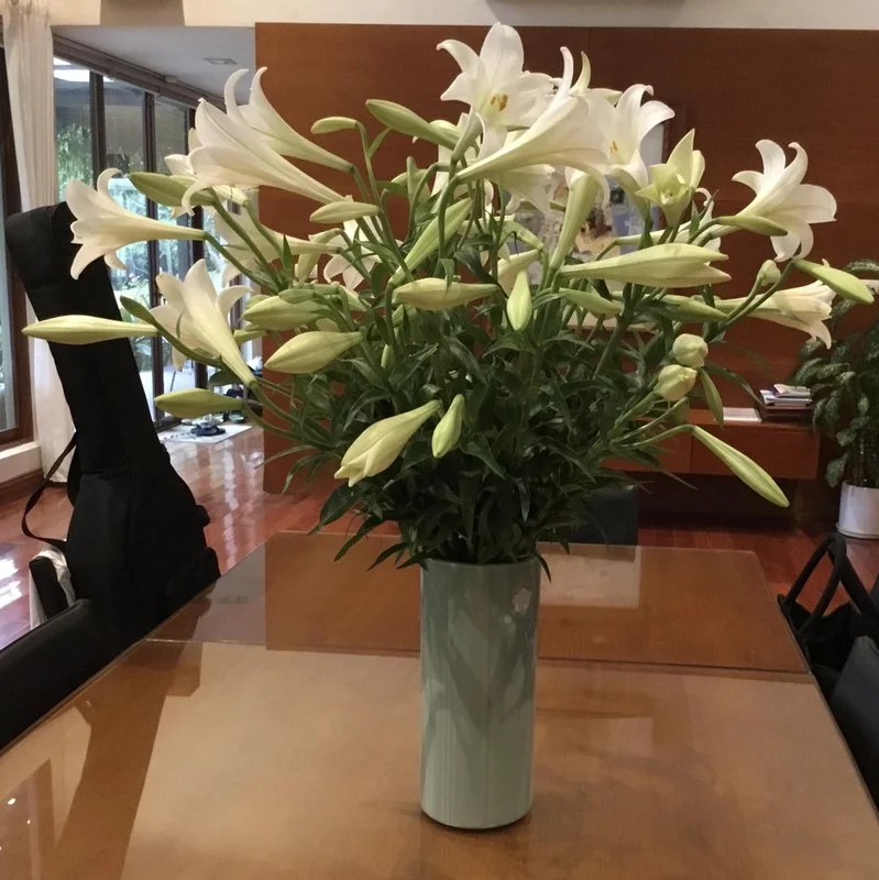 Inside Diva My Linh’s Serene Garden Villa: A Real-Life Fairyland