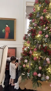 Inside the Luxurious Room of Billionaire Johnathan Hanh Nguyen's Daughter-in-Law - image 1