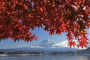 Stunning and Rare November Autumn Landscapes in Japan - image 1