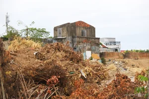The Stunning Transformation Of Thuong Thanh Relic Site In Hue - image 10