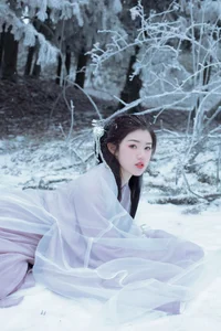 Art Language Vol.6295 Yu Han Elegant Fine Art Photography Gallery - image 4