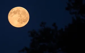 The 2023 Mid-Autumn Festival Supermoon: A Spectacular Celestial Event Captured Globally - image 7