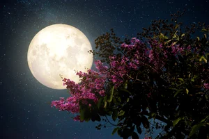The 2023 Mid-Autumn Festival Supermoon: A Spectacular Celestial Event Captured Globally - image 6