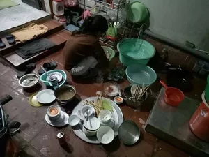 The Great Dishwashing Debate: Navigating Relationship Etiquette and Family Expectations During the First Home Visit - image 8