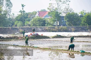 Ninh Binh: The Peaceful Soul of Phuong Oanh's Hometown - image 2