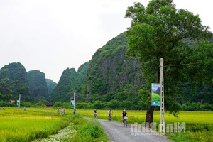 Ninh Binh: The Peaceful Soul of Phuong Oanh's Hometown - image 3