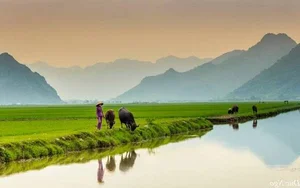 Ninh Binh: The Peaceful Soul of Phuong Oanh's Hometown - image 1