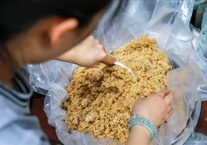 Bustling Dragon Boat Festival Market: A Celebration of Culture and Flavors - image 2